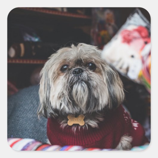 Cute lhasa apso puppy met kerstmis b vierkante sticker (Voorkant)