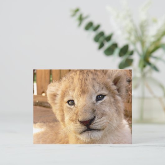 Cute Lion Cub Briefkaart (Staand voorkant)