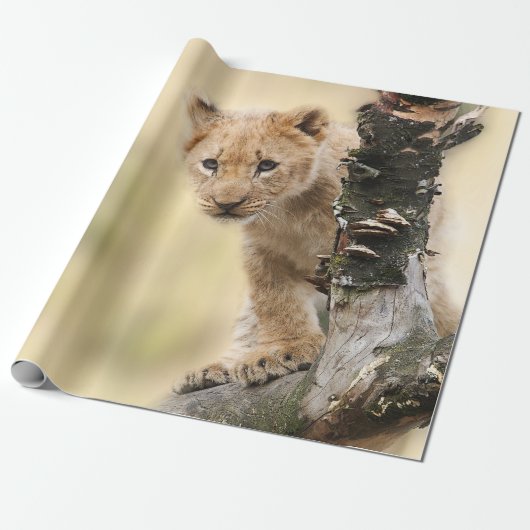 Cute Lion Cub in een boom Cadeaupapier (Uitgerold)