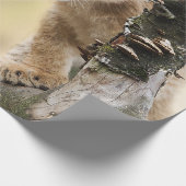 Cute Lion Cub in een boom Cadeaupapier (Hoek)