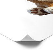 Cute Lion Cub Poster (Hoek)