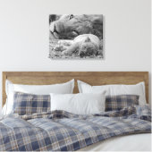 Cute Lion Cub Resting with Father Canvas Afdruk (Insitu (Slaapkamer))