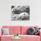 Cute Lion Cub Resting with Father Canvas Afdruk (Insitu (Woonkamer))