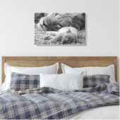 Cute Lion Cub Resting with Father Canvas Afdruk (Insitu (Slaapkamer))