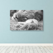 Cute Lion Cub Resting with Father Canvas Afdruk (Insitu (Houten vloer))