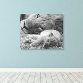 Cute Lion Cub Resting with Father Canvas Afdruk (Insitu (Houten vloer))