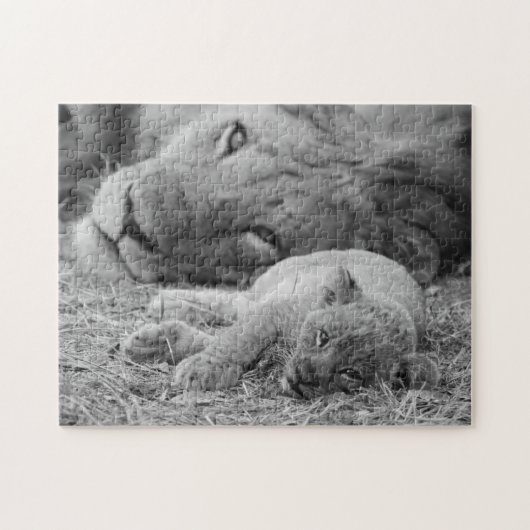 Cute Lion Cub Resting with Father Legpuzzel (Horizontaal)