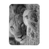 Cute Lion Cub Resting with Father Magneet (Verticaal)