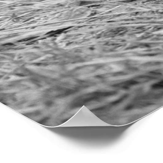 Cute Lion Cub Resting with Father Poster (Hoek)