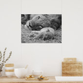 Cute Lion Cub Resting with Father Poster (Keuken)