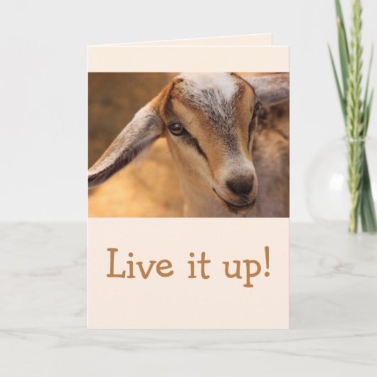 Cute Little Baby Goat Birthday Kaart (Voorkant)