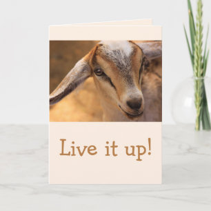 Cute Little Baby Goat Birthday Kaart