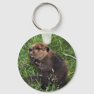 Cute Little Beaver Sleutelhanger