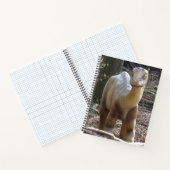 Cute Little Beige Dinosaur Notitieboek (Binnen)