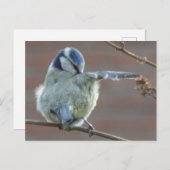 Cute Little Bird DIY Briefkaart (Voorkant / Achterkant)