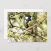 Cute Little Bird DIY Briefkaart (Voorkant / Achterkant)