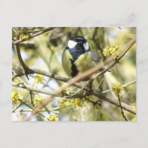 Cute Little Bird DIY Briefkaart