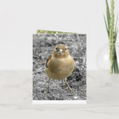 Cute Little Birdie Happy Birthday Customize Kaart (Achterkant)