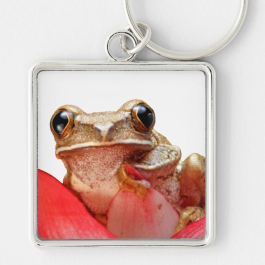 Cute Little Brown Marged Reed Frog Red Flower Sleutelhanger (Voorkant)