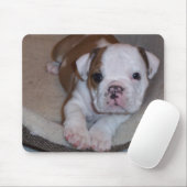 Cute Little Bulldog Puppy Mousepad Muismat (Met muis)