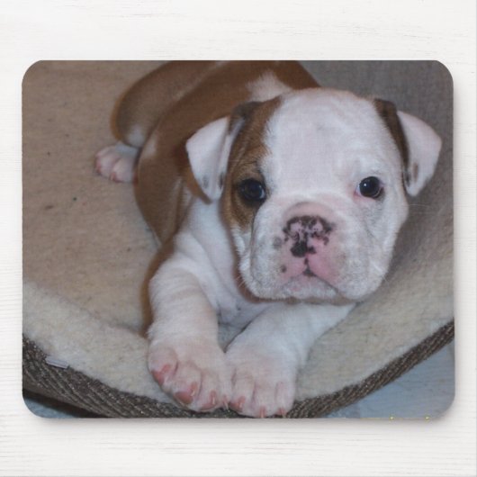 Cute Little Bulldog Puppy Mousepad Muismat (Voorkant)
