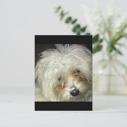 Cute Little Casper Briefkaart (Staand voorkant)