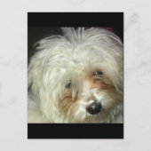 Cute Little Casper Briefkaart (Voorkant)