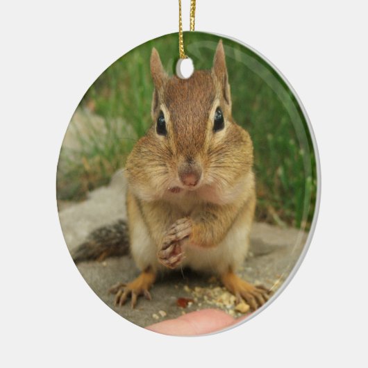 Cute Little Cheeky Chipmunk Keramisch Ornament (Links)