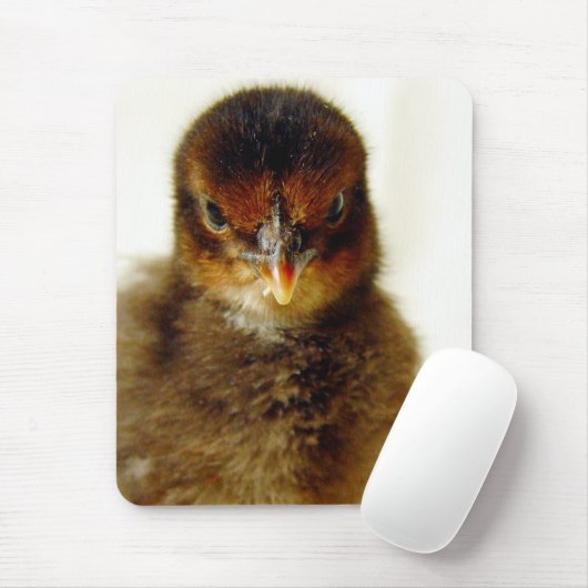 Cute Little Chick Muismat (Met muis)