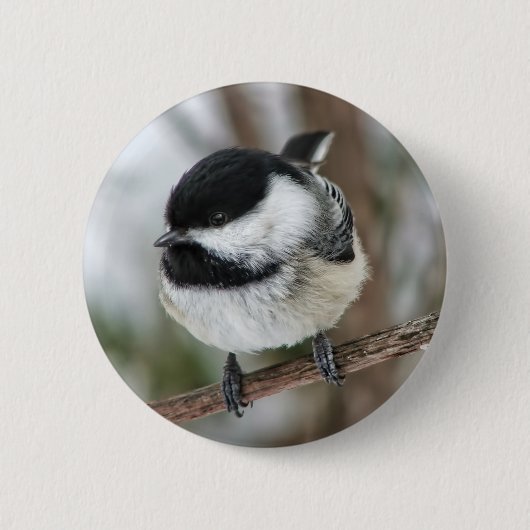 Cute Little Chickadee Ronde Button 5,7 Cm (Voorkant)