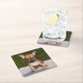 Cute Little Chihuahua Puppy Dog Kartonnen Onderzetters (Insitu)