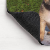 Cute Little Chihuahua Puppy Dog Muismat (Hoek)