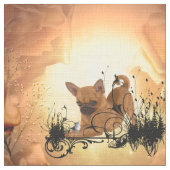 Cute little chihuahua stof (Close Up)