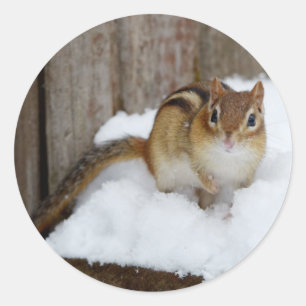 Cute Little Chipmunk in de sneeuw Ronde Sticker