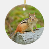 Cute Little Chipmunk Posing on a Rock Keramisch Ornament (Voorkant)