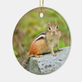 Cute Little Chipmunk Posing on a Rock Keramisch Ornament (Links)
