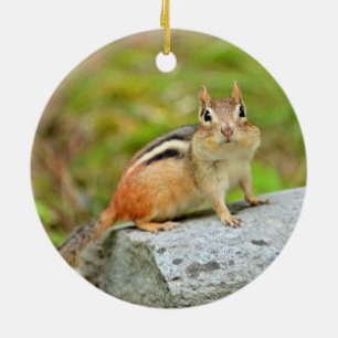 Cute Little Chipmunk Posing on a Rock Keramisch Ornament