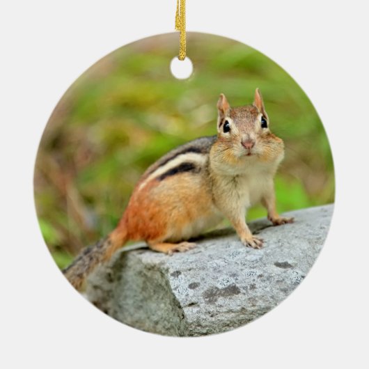 Cute Little Chipmunk Posing on a Rock Keramisch Ornament (Achterkant)