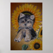 Cute Little Dog en Sunflower Poster (Voorkant)