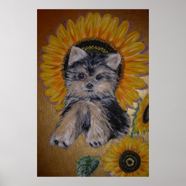Cute Little Dog en Sunflower Poster