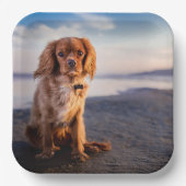 Cute Little Dog Papieren Bordje (Voorkant)