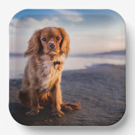 Cute Little Dog Papieren Bordje