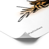 Cute Little Dog Poster (Hoek)