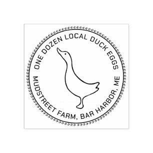 Cute Little Duck Eg Carton Stamp Rubberstempel