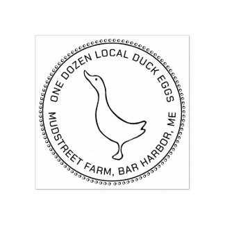 Cute Little Duck Eg Carton Stamp Rubberstempel