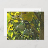 Cute Little Eating Bird Happy Birthday Briefkaart (Voorkant / Achterkant)