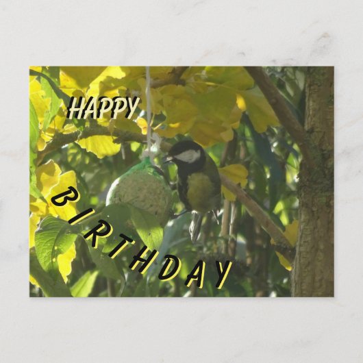 Cute Little Eating Bird Happy Birthday Briefkaart (Voorkant)
