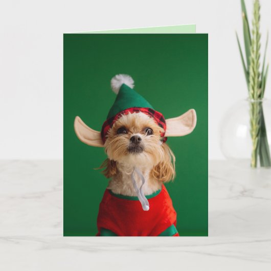 CUTE LITTLE ELF DOG FUNNY CHRISTMAS CARD FEESTDAGEN KAART (Voorkant)