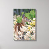 Cute Little Fawn Canvas Afdruk (Voorkant)