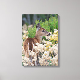 Cute Little Fawn Canvas Afdruk